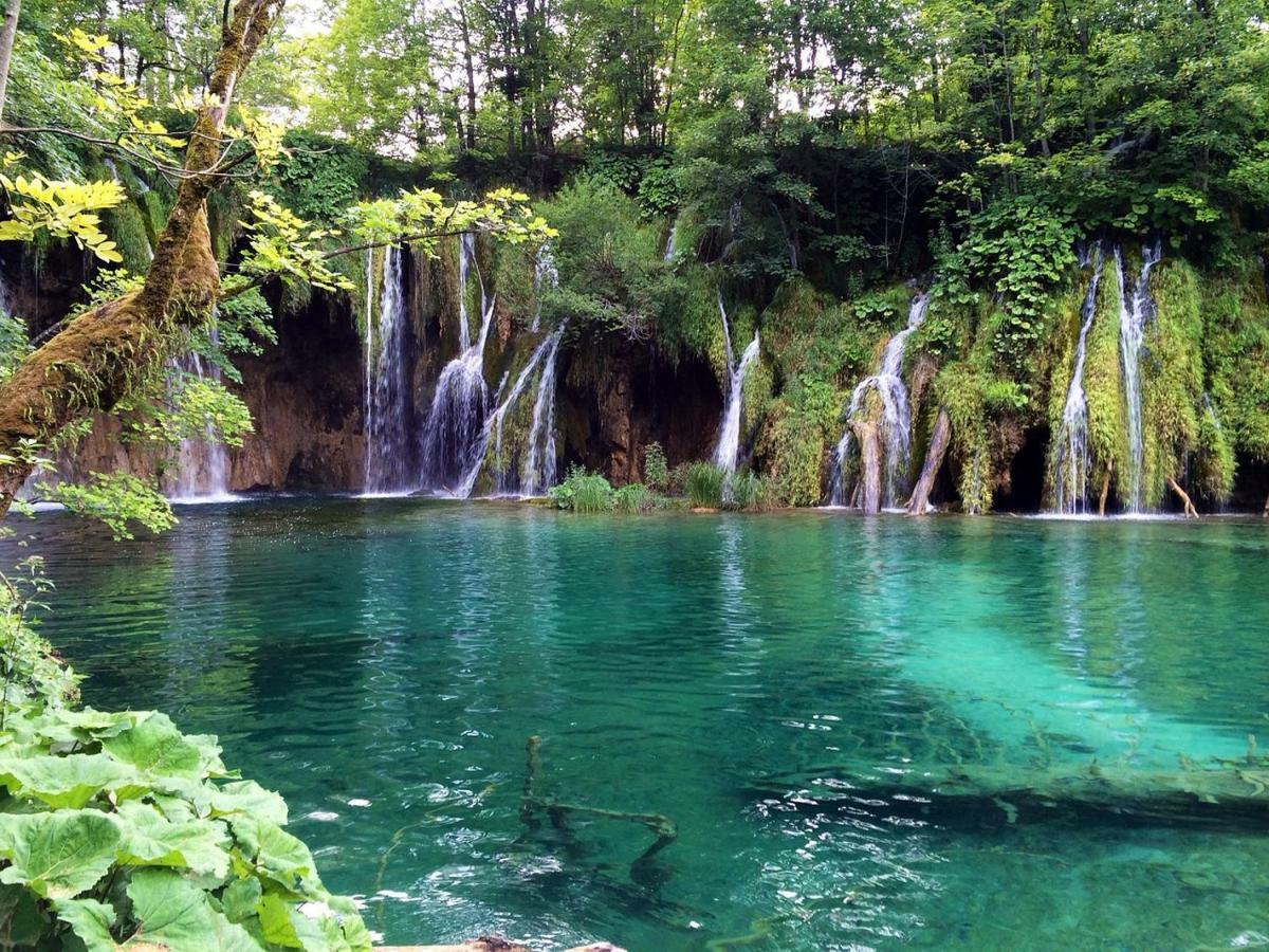 Fenomen Plitvice Resort Plitvička Jezera Eksteriør bilde